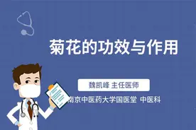 菊花的功效与作用视频封面