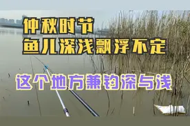仲秋早晚温差大,钓深钓浅难捉摸,选这样的钓点,深浅兼顾,鱼口密集