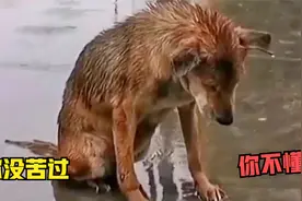 心酸又真实的画面，配上这首《我曾》，道出多少成年人的心酸！