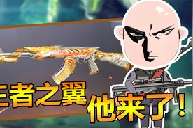 随风枪械测评：花了1300元搞到的王者之翼，究竟是怎样的武器？视频封面