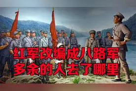 红军共有8万人，4.5万人改编成八路军，还有3.5万人呢视频封面