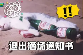 马上要过年，村长写的退出酒场告知书，还真是逻辑鬼才视频封面