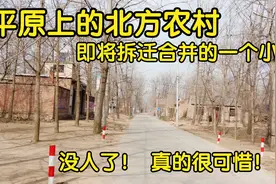 平原上一个将要拆迁合并的小农村，没人了真的要没人了，可惜了！视频封面