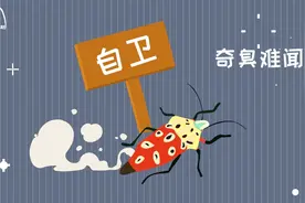 臭大姐为什么会放臭屁？
