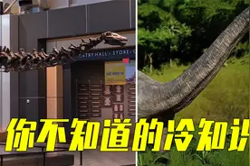 这些你不知道的冷知识，电锯竟然是为了分娩而发明的视频封面