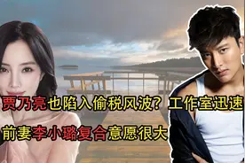 贾乃亮也陷入偷税风波？工作室迅速辟谣，前妻李小璐复合意愿很大视频封面