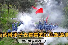 传承红色文化，武汉周边这处红色旅游胜地，值得带孩子去走一走视频封面