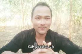 鸡出现白痢糊肛，给鸡吃这些有效解决，鸡肠道好肉质香视频封面