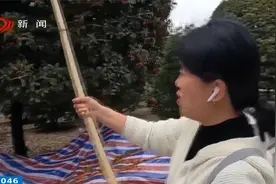 桂花飘香季！来这里感受一番诗意的秋视频封面