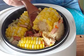 自驾游必备神器：车家两用电饭煲，220V测试煮2人饭，用时38分钟视频封面