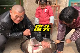 小雨开拖拉机运猪头真给力，16斤猪头洗干净不容易，年味更浓啦！视频封面