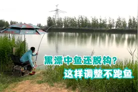 黑漂不中鱼还脱钩跑鱼？问题出在这里，稍微调整动作大不跑鱼视频封面