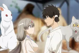 搞笑动漫：前世你我是猫兔，好队友帮他们再续前缘视频封面