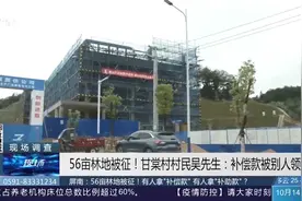 乡里村里和稀泥？屏南一男子56亩林地被征，补偿款却给了别人视频封面