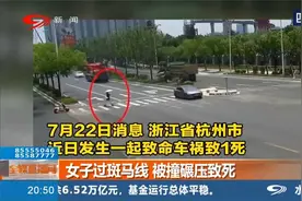 悲惨的事故发生！女子过斑马线，被撞碾压致死！视频封面