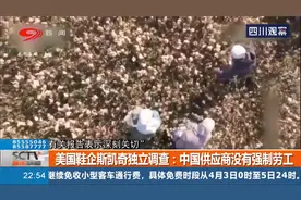美国鞋企斯凯奇独立调查：中国供应商没有强制劳工！视频封面