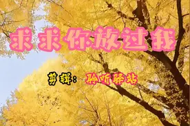 求求你放过我视频封面