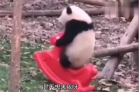 搞笑视频：你就这样躺着吧。