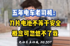 比亚迪刀片电池就是个噱头？！视频封面