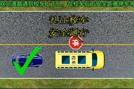 遇到校车停车上下人不礼让，后果很严重。#汽车知识 #交通安全视频封面