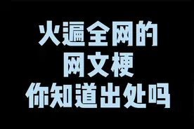 火遍全网的网文梗你知道出处吗？“恐怖如斯”全书只用了18次而已