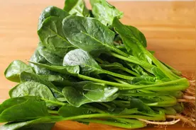 菠菜学会这样做，尤其搭配玉米面，营养少油，小孩吃了都说好视频封面