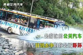 会游泳的两栖公共汽车，当开到水中时肯定会被吓坏，你敢坐吗？视频封面