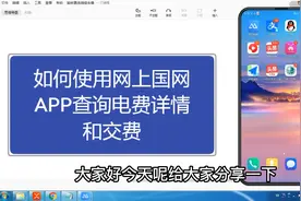 如何使用网上国网APP查询电费详情和交费