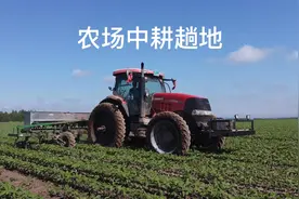 体验一下黑龙江农场的大田中耕，全是进口大马力拖拉机太先进了视频封面