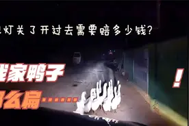 胡说八：这是你家鸭子么？不是，我家鸭子没这么扁  搞笑视频封面