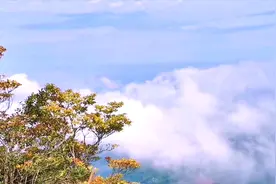 经济不好，带你去云浮大小金山挖金去！视频封面