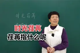 时光荏苒的“荏苒”和岁月如梭的“梭”到底指的是什么意思呢？视频封面