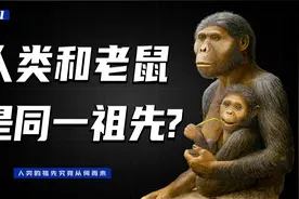 人类来源于古猿，古猿又从何而来？揭秘人类上亿年的进化之路！视频封面