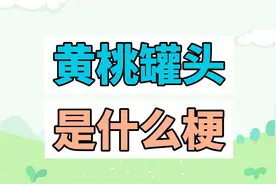 黄桃罐头是什么梗？听说罐头里面，住着神仙？视频封面
