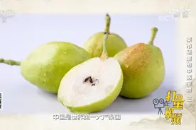 梨是百果之宗，有生津润燥的功效，还有一定的药用价值|健康之路视频封面