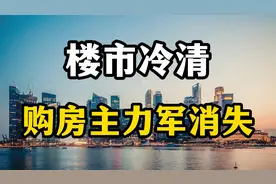 房子为什么卖不动？原因是购房的主力军消失了，房产专家全面分析视频封面
