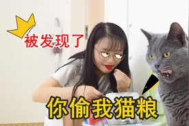 主人偷吃猫粮，被猫当场抓包，猫：家里穷到这个地步了？