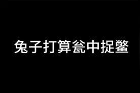 鹰酱：你开船能不能专业点？别我干嘛？兔子：我正经蓝翔毕业的视频封面