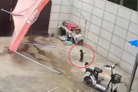 大风吹翻遮阳棚导致小狗被悬空吊起，15分钟终于得救：魂都吓掉了视频封面
