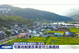 国新办发布会·解读中央一号文件 宅基地制度改革坚守三条底线视频封面