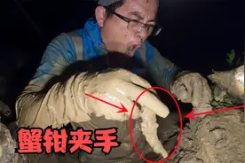 渔夫被螃蟹夹哭了？这螃蟹也太狠了吧，把渔夫夹出杀猪叫视频封面