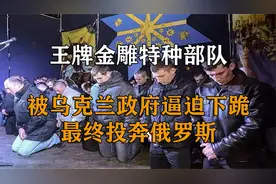 乌克兰曾经最强大的武装力量，却被政府逼迫下跪，最终投奔俄罗斯视频封面