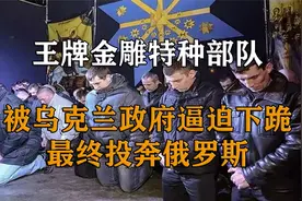 乌克兰曾经最强大的武装力量，却被政府逼迫下跪，最终投奔俄罗斯视频封面