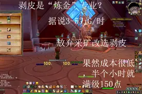 魔兽世界9.0：防骑放弃采矿选择剥皮视频封面