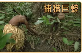 看原始部落是如何活捉10米长的巨蟒