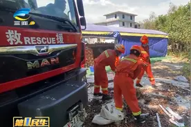 三亚气温升高蛇出没 消防队员来救援