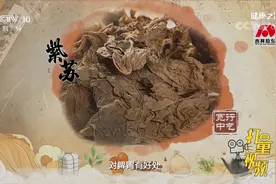 百合和紫苏是怎样并肩作战解决入睡困难的？来听专家说丨健康之路