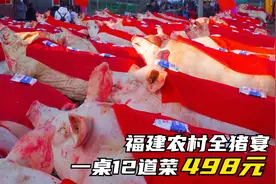 福建农村全猪宴一头猪768斤，498元1桌12道菜，100多桌来晚没位置