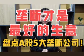 垄断才是好的生意，盘点A股5大垄断公司!视频封面