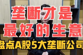 垄断才是好的生意，盘点A股5大垄断公司!视频封面